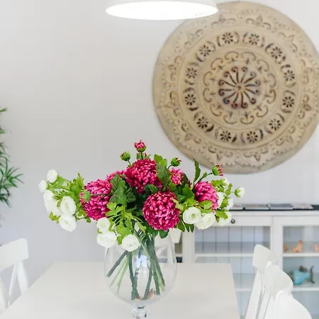 Amazing In Apartman *